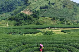 Môc Châu-un avant-goût de paradis 