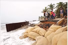 Quang Nam : mesures sollicitées pour une protection côtière durable