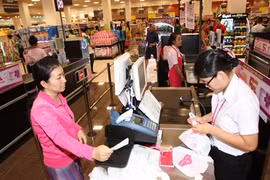 Coopération entre villes japonaises et Hô Chi Minh-Ville