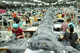 Pour que Hanoi profite pleinement des avantages du TPP