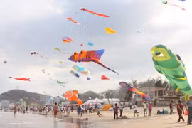 Un premier festival international de cerfs-volants au Nord
