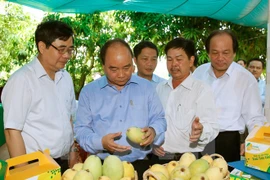 Le Premier ministre en tournée à Dong Thap