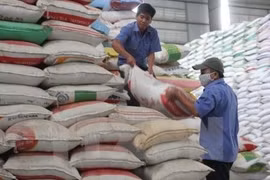 Octroi gratuit de plus de 1.000 tonnes de riz à Phu Yên 