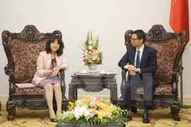 La coopération multisectorielle entre le Vietnam et le Japon s'épanouit
