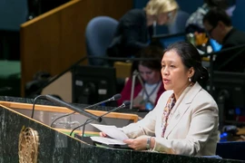 Le problème de la Mer Orientale abordé à la Conférence des membres de la CNUDM