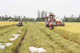 Presse argentine : l'agriculture vietnamienne bénéficiera du TPP
