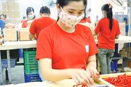 La plupart des entreprises privées optimistes sur les perspectives d’investissement au Vietnam