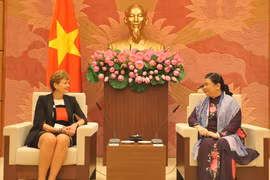 La vice-présidente de l'AN Tong Thi Phong reçoit la délégation du Parlement danois