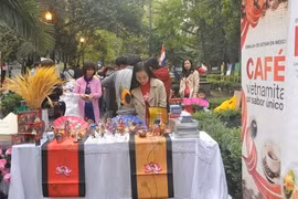 Les pays de l'ASEAN promeuvent les échanges culturels au Mexique