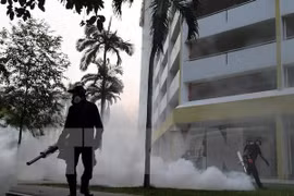 Nouveau cas de virus Zika signalés à Singapour