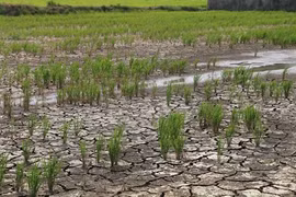 Des mesures pour lutter contre la sécheresse et la salinisation