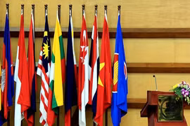 Le Vietnam promeut la responsabilité à l’AMM 49 et aux conférences connexes 