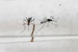 Premier cas de virus Zika à Singapour