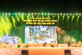 Ouverture du Festival du tournesol de Nghê An