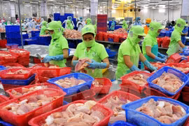 Les exportations agricoles, sylvicoles et aquacoles atteignent 10 milliards de dollars en 4 mois