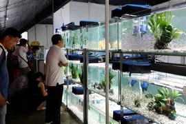 Cinquième Foire-expo de l'agriculture higt-tech et de l'industrie agroalimentaire