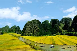 La bande-annonce officielle de "Kong : Skull Island" révèle des paysages imposants du Vietnam 