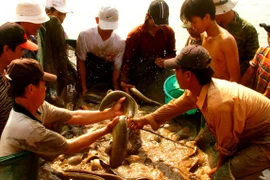De nombreux produits vietnamiens rejoignent la chaîne d'approvisionnement mondiale