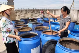 Réduire la pauvreté, première priorité de Thanh Hoa