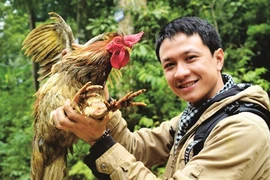 Le coq à neuf ergots, un cadeau de luxe