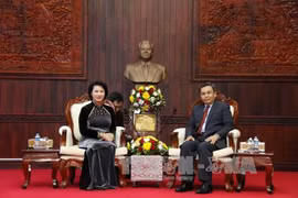 Le Vietnam estime le rôle du front dans le système politique et la vie sociale