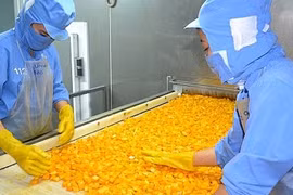 Vietnam - G7 : les échanges commerciaux connaissent une croissance spectaculaire