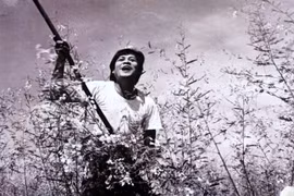 En Inde, Doordarshan célèbre la magie du cinéma vietnamien