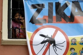 Aucun cas de virus Zika détecté à Ho Chi Minh-Ville