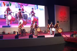 Coup d’envoi de la fête Vietnam-Japon 2016