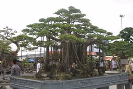 Festival des plantes ornementales et des animaux de compagnie à Hanoi