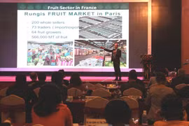 Le Vietnam lance un appel aux investisseurs français pour 57 projets