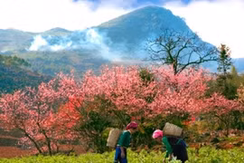 La région montagneuse du Viêt Bac: Connexion pour promouvoir le patrimoine