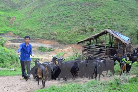 Vietnam : la réduction de la pauvreté est la 1ère priorité