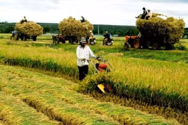 BM: L’économie vietnamienne reste stable malgré l'évolution mondiale