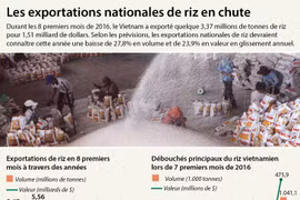 Les exportations nationales de riz en forte baisse