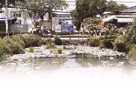 Une mégapole en cote d’alerte