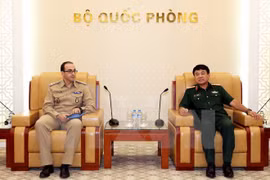 L'ONU soutient le Vietnam dans la participation aux opérations de maintien de la paix