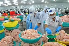 Davantage de producteurs autorisés à exporter des poissons tra aux Etats-Unis