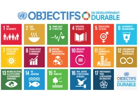 Sensibilisation du public aux objectifs de développement durable