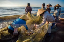 Les indemnités pour les pêcheurs seront versées dans plus d’un mois