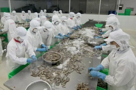 Crevettes: le Vietnam et les États-Unis signent un accord antidumping