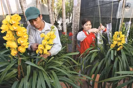 Floralies de Dà Lat 2015 : un festival de plantes