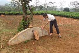 Découverte d'un ancien instrument de percussion en pierre à Tuyên Quang
