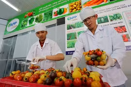 Nouveaux produits agricoles pour le Têt traditionnel 2016