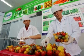 Nouveaux produits agricoles pour le Têt traditionnel 2016