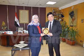 Vietnam-Egypte promeuvent leur coopération dans la radiodiffusion 