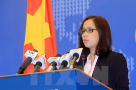 A propos de la protection des citoyens vietnamiens à l’étranger 