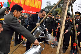 Fête de plantation d’arbres dans différentes localités
