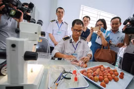 Hanoi: Irradiation de deux tonnes de litchis destinées à l'exportation en Australie
