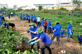 En écho à la journée mondiale de l’environnement